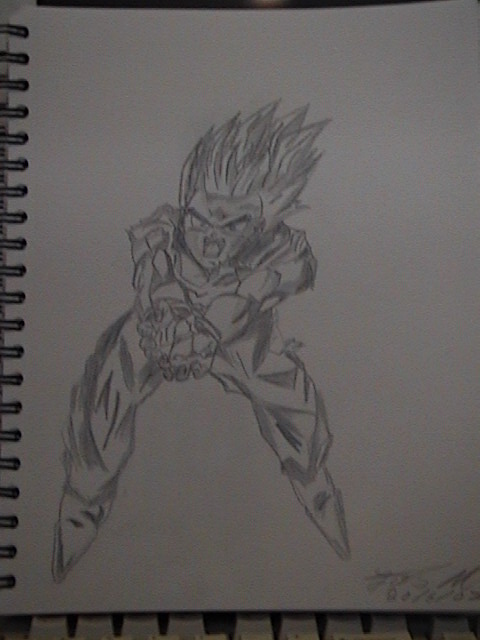 gohan1.jpg