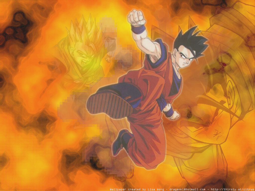gohan2.jpg