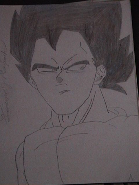 vegeta1.jpg