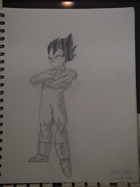 vegeta2.jpg
