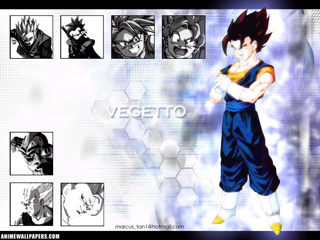 vegeto.jpg